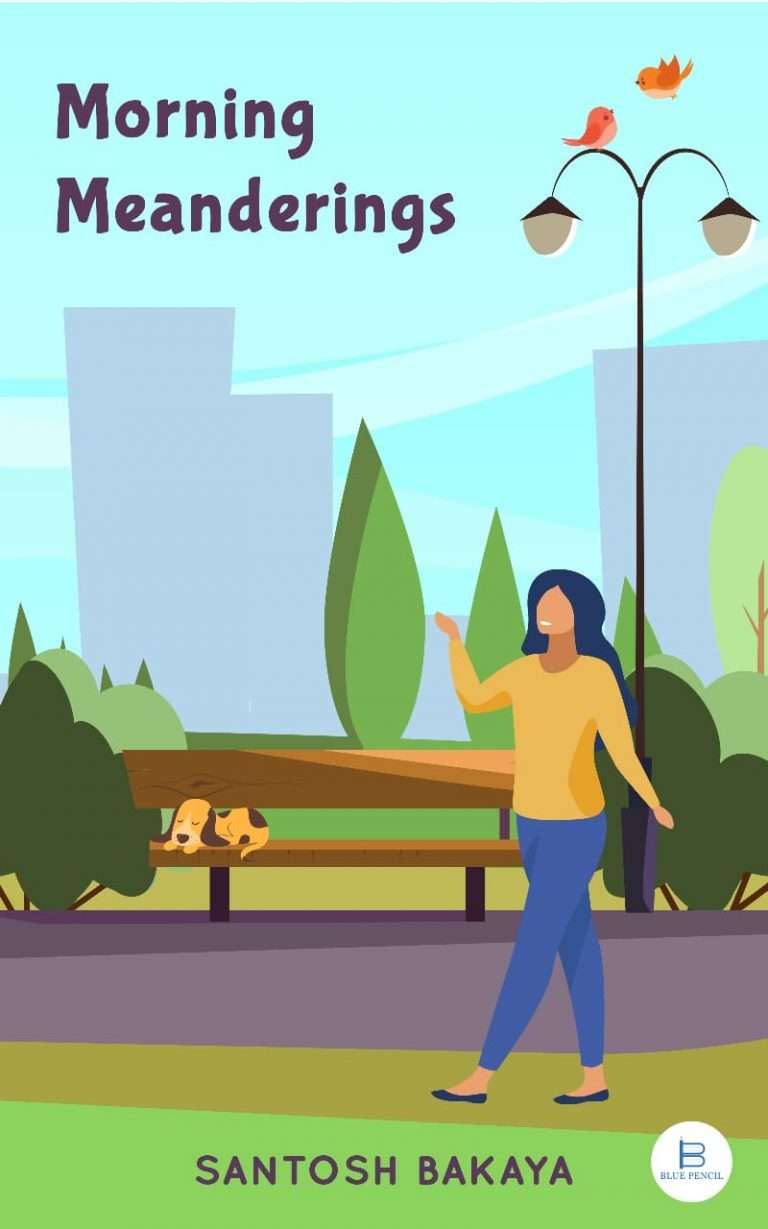 Morning Meanderings Book