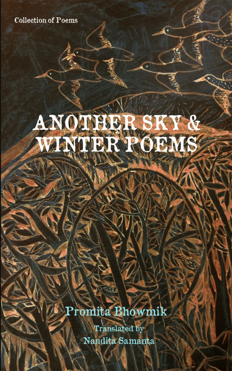 ANOTHER SKY AND WINTER POEMS FRONT COVER
